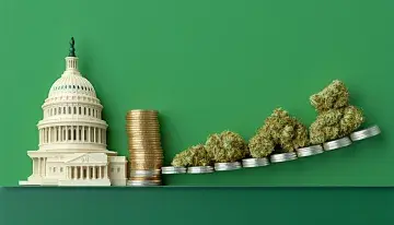 Cannabis Banking Still Stuck in Federal Limbo, GOP Lawmaker Demands Answers